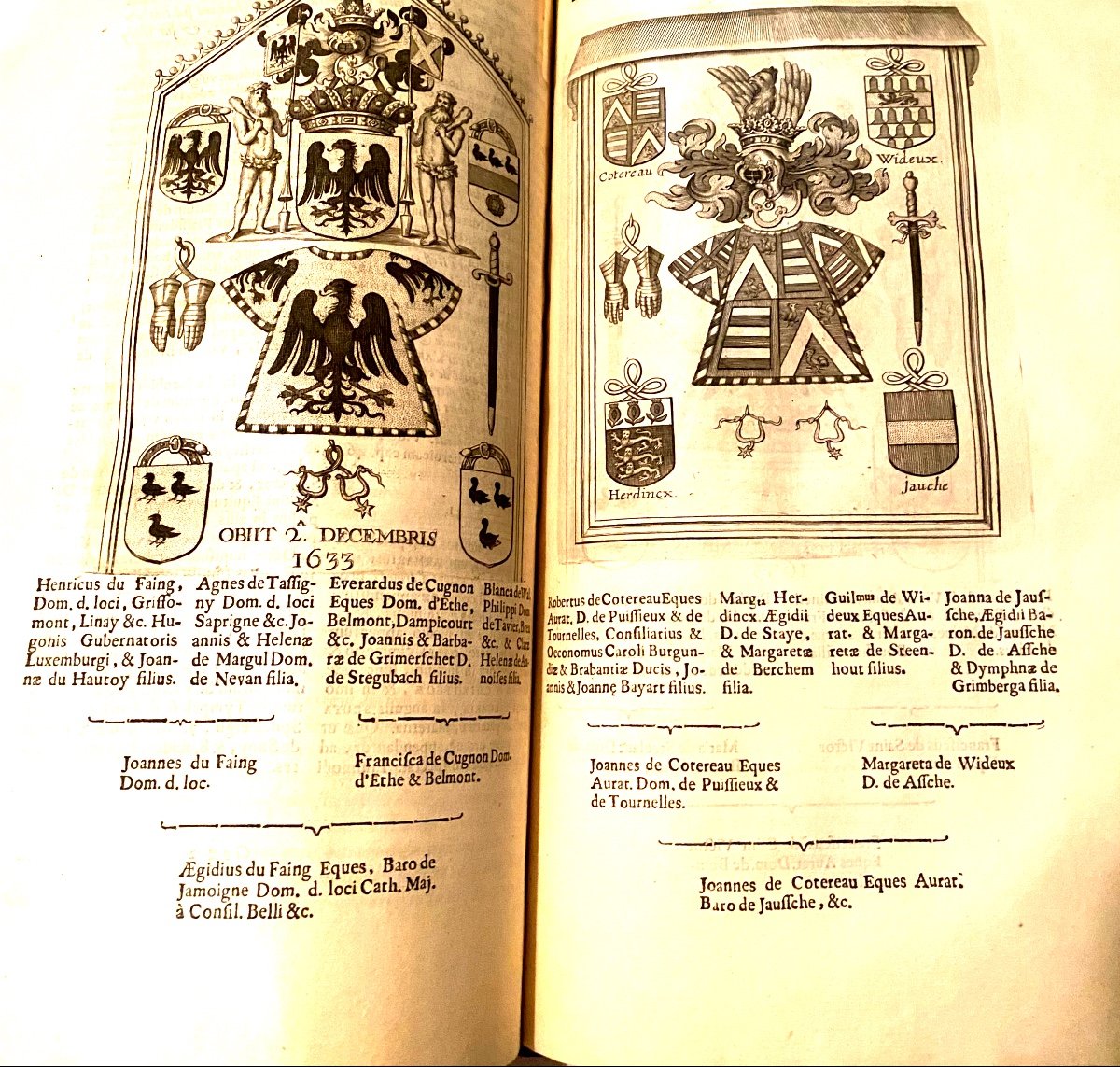 Bel In-folio De 1689 Bruxelles "jurisprudentia Héroica "sive De Jure Belgarum Circa Nobilitatem-photo-8