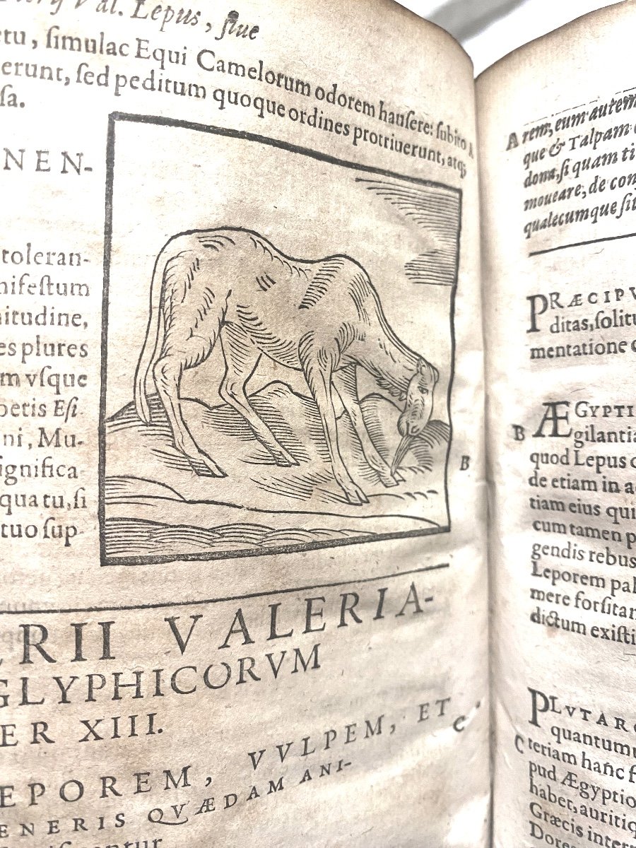 Book 1631: "study Of Hieroglyphs" Ioannis Piery" From The Vatican Library-photo-2