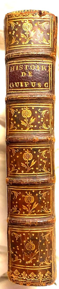 History Of The Admirable Dominigo De Guipuscoa, Knight Of The Virgin, By Hercule Rasiel 18th