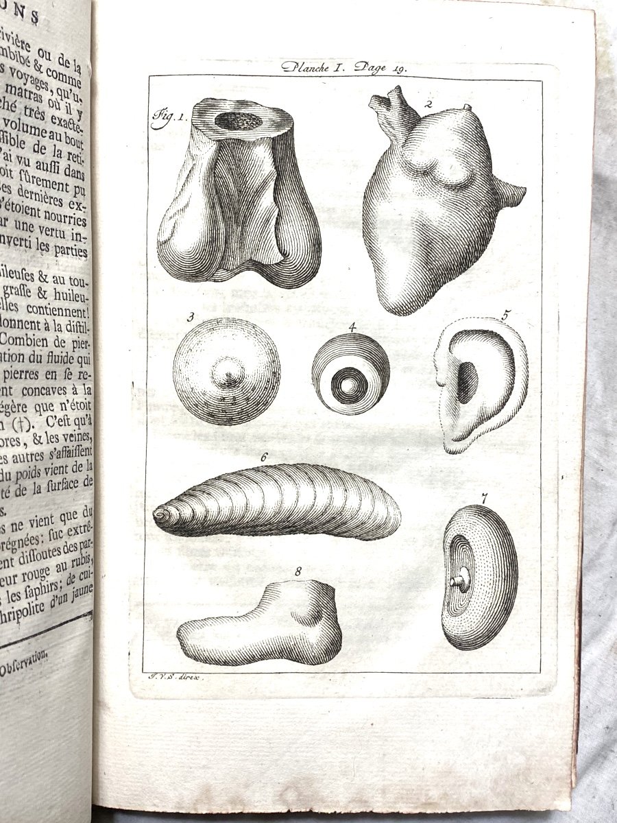 Curiosité: "vue Philosophique De La Gradation Naturelle ,"des Formes De l'Etre , Par Jb Robinet-photo-3