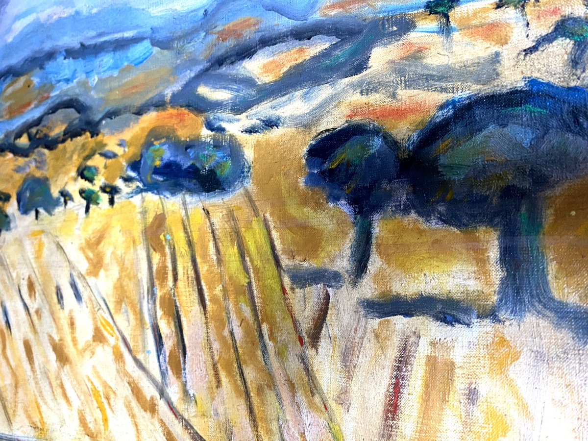 Large, Well-framed Provençal Landscape "les Dentelles" H/canvas Mid-20th Century By Franklin Roudybush-photo-1