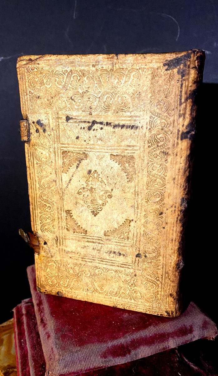 Rare Book In Pigskin With Clasps / "instructions For Liturgical Musical Practice" 1700-photo-4