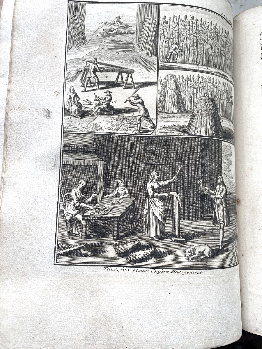 Bel Illustré ;In4 , 2 Vol."" La Nouvelle Maison Rustique ,ou économie générale &c.. Paris 1740 -photo-3