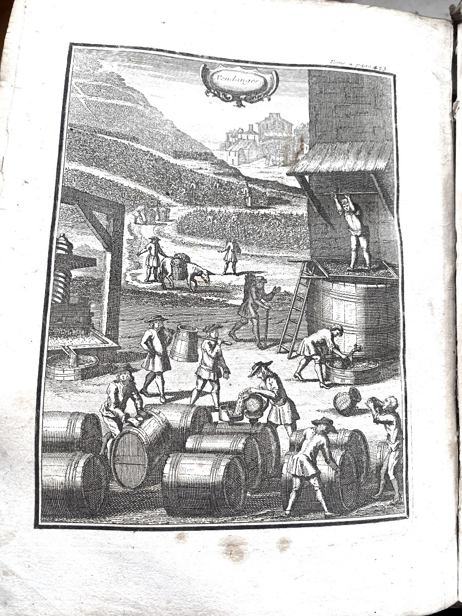 Bel Illustré ;In4 , 2 Vol."" La Nouvelle Maison Rustique ,ou économie générale &c.. Paris 1740 -photo-8