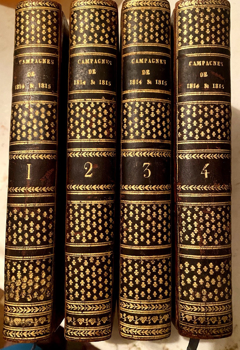 4 Beautiful Volumes In 8: History Of The Campaigns Of 1814 And 1815 Including The Pol. & Mil. History Of 1816