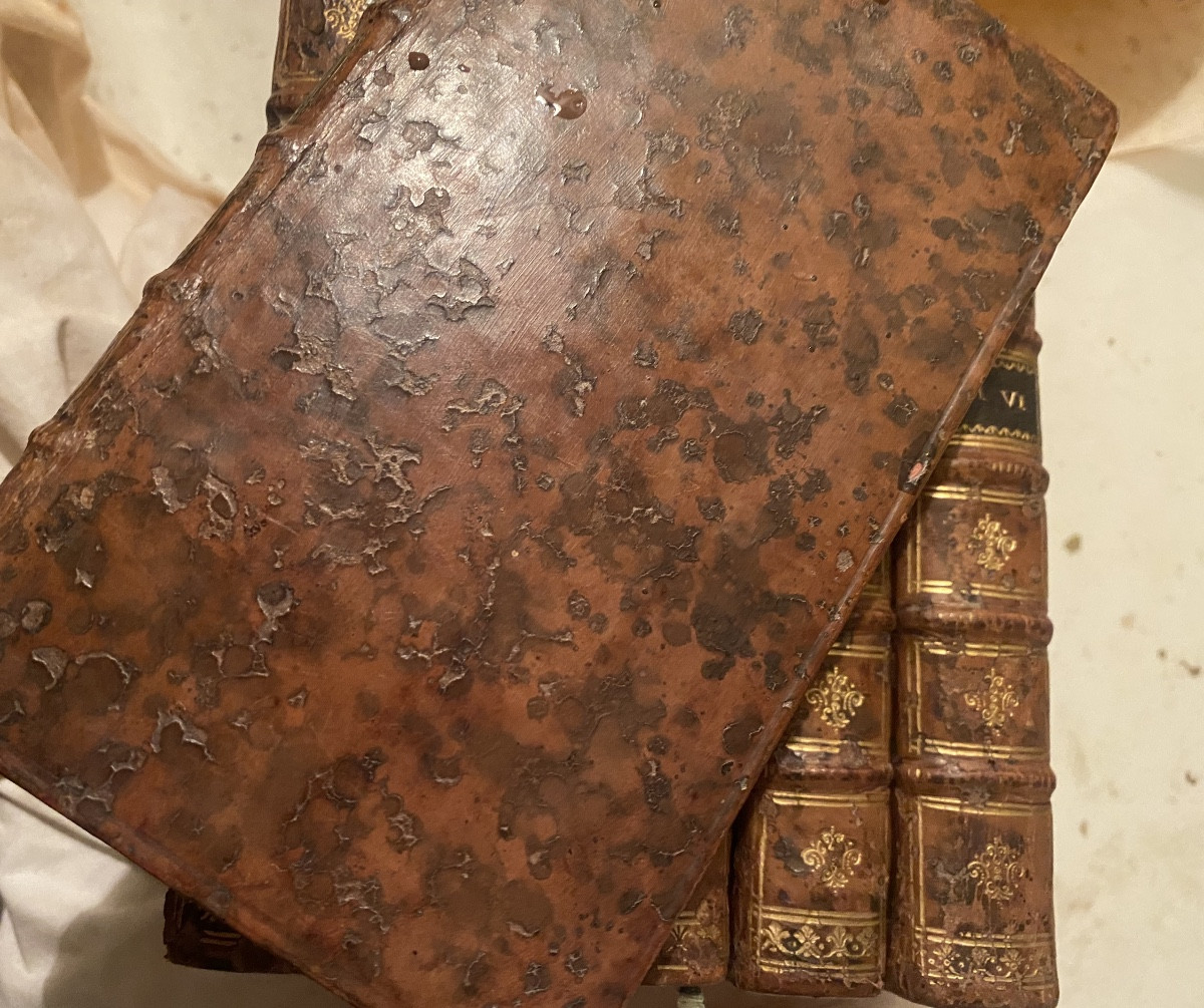 6 beaux volumes in 12 "Histoire Romaine depuis la Fondation de Rome,"traduite de Laurent Echard-photo-4