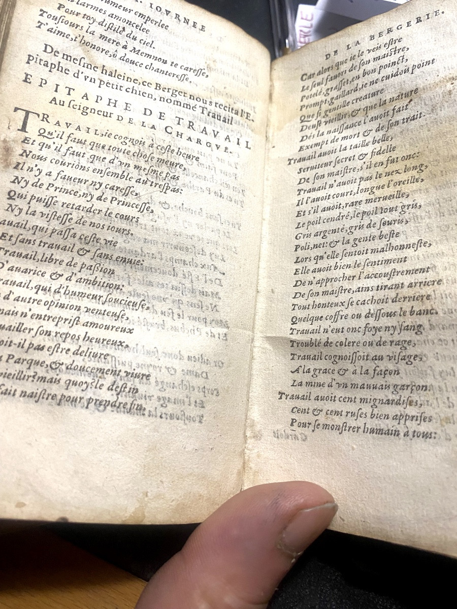 Poetic Works Of Remy Belleau In Two Parts 1592 For Thomas Soveron Contemporary Soft Vellum-photo-8