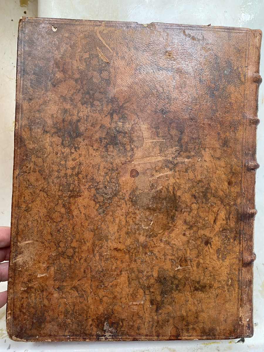 Beautiful Vol. In 4: Universal Practice For The Renovation Of Territories And Seigneurial Rights-photo-4