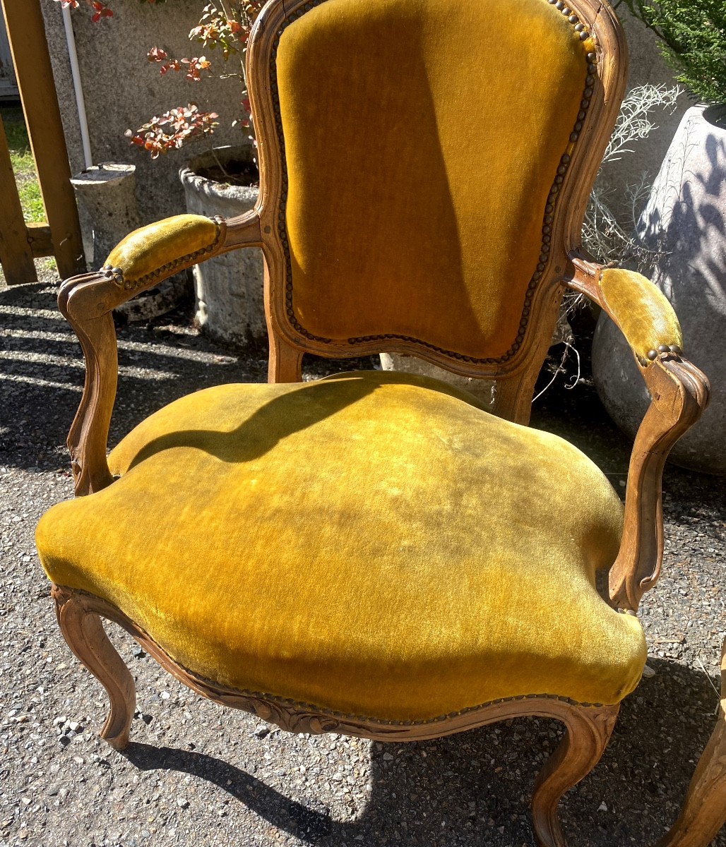Pair Of 18th Century Louis XV Style Stained Morgani Lounge Cabriolets, Well Carved-photo-4
