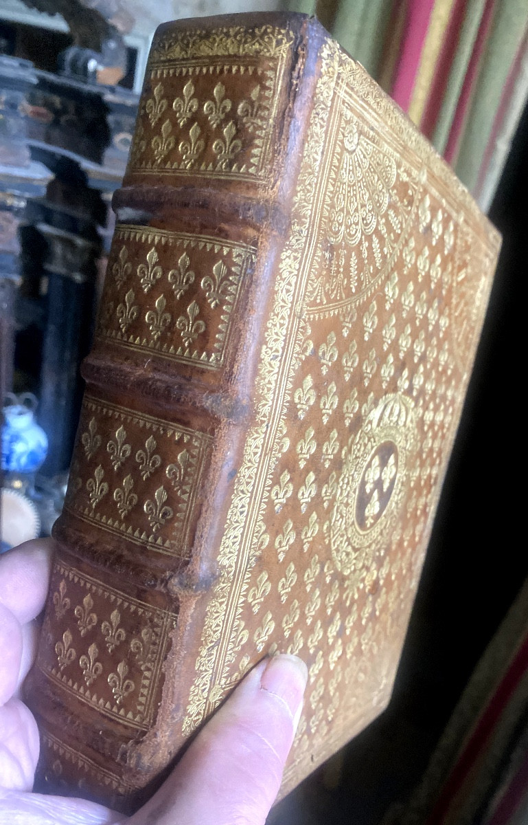 Rare Volume aux Armes de Louis XIV dans une riche reliure In4 en veau au semis de fleurs de Lys-photo-6