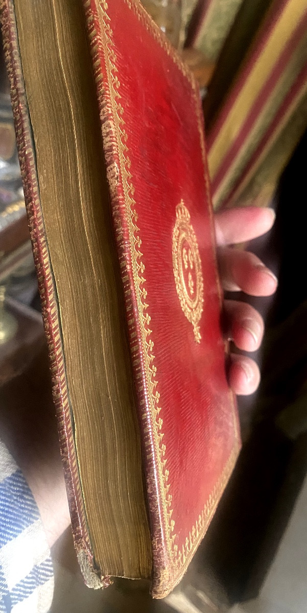 Rare livre In 8 de critique politique  aux Armes de Louis XVIII en maroquin rouge . Paris 1815 -photo-8