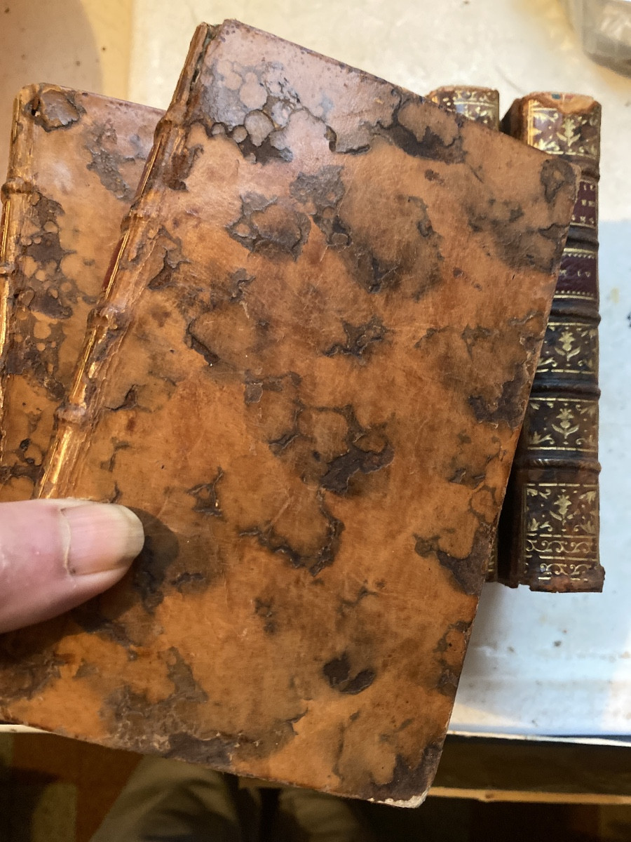 Bibliothèque Of Marquis De Ladsay Duc De Noailles -photo-2