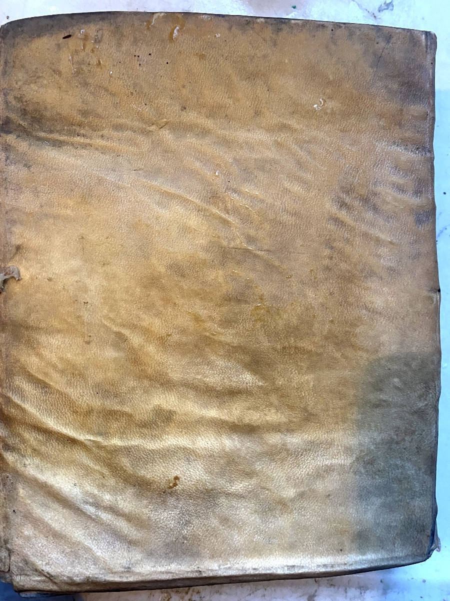 In-quarto  velin  du Collège Académique de l'Abbaye Royale de St. Vaast rare manuscrit de thèse