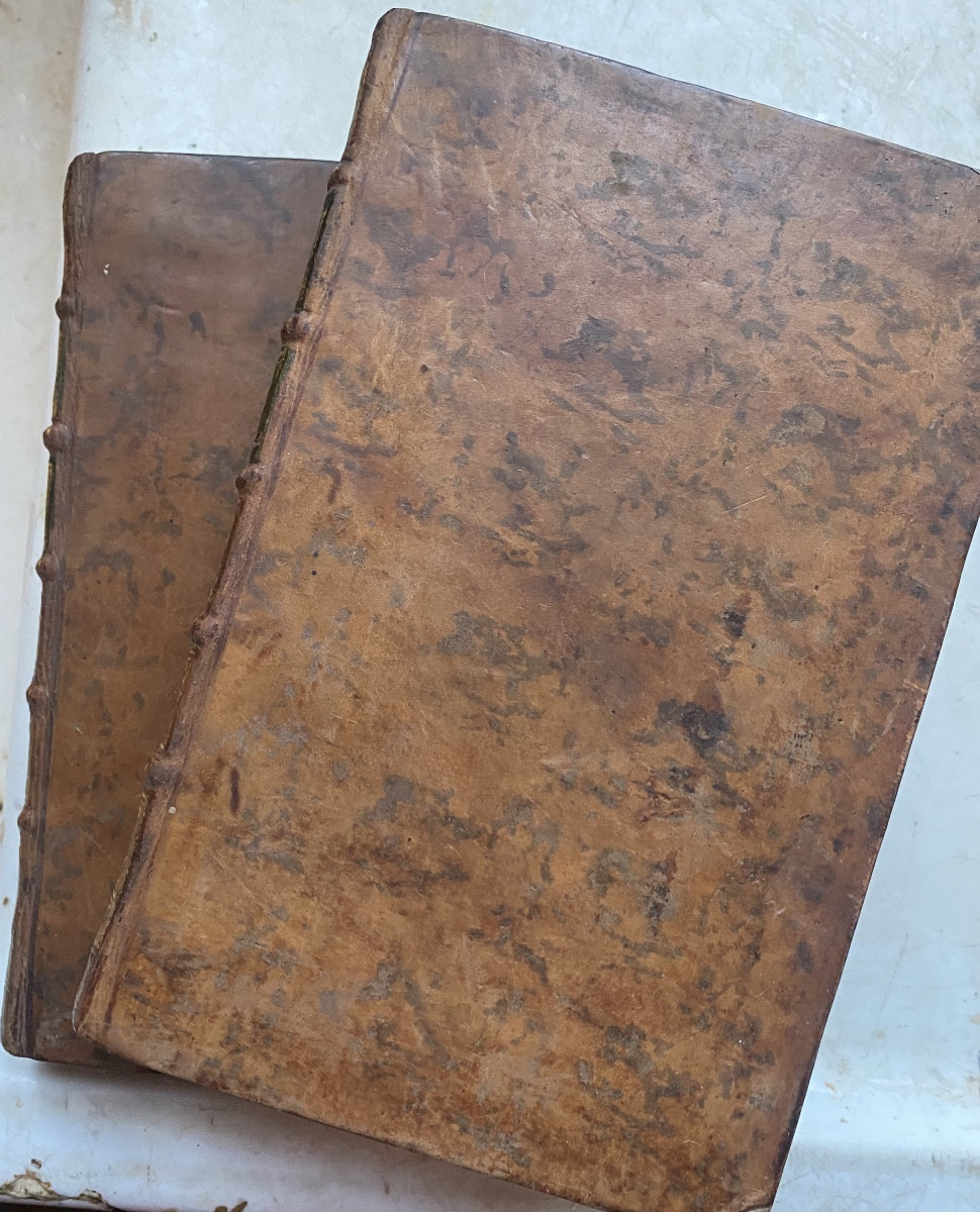 2 Beaux Vol.In 12 :"La France Littéraire",  sur les Académies , les Auteurs et leurs Ouvrages-photo-2