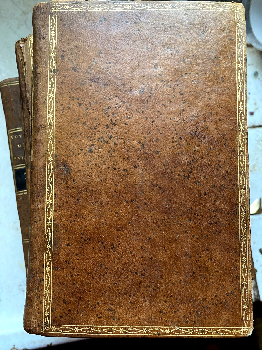 18th Travels Of Professor Pallas, In Several Provinces Of The Russian Empire. 8 Vol In 8 -photo-2