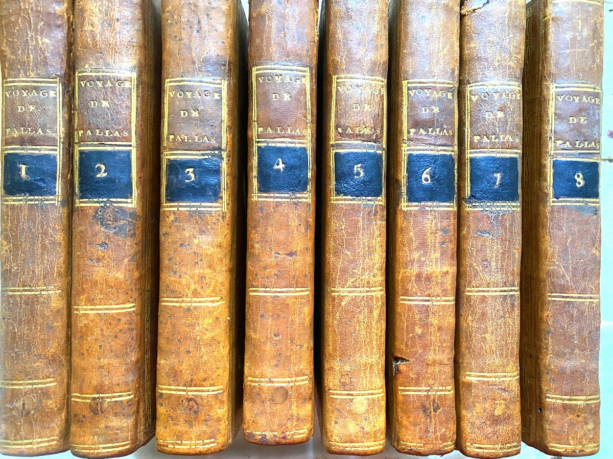 18th Travels Of Professor Pallas, In Several Provinces Of The Russian Empire. 8 Vol In 8 