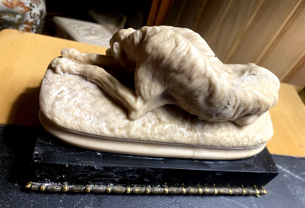  Délicat Lévrier couché de Delabrièrre en albâtre sur socle marbre noir de Carrare bordé bronze-photo-1