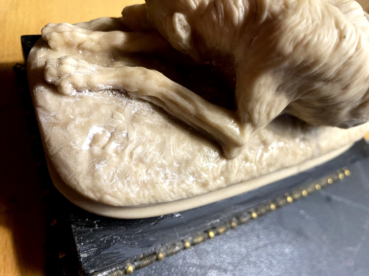  Délicat Lévrier couché de Delabrièrre en albâtre sur socle marbre noir de Carrare bordé bronze-photo-3