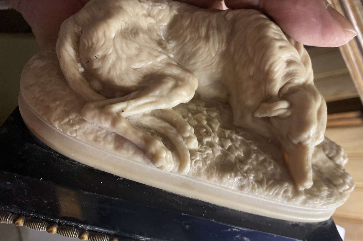  Délicat Lévrier couché de Delabrièrre en albâtre sur socle marbre noir de Carrare bordé bronze-photo-6