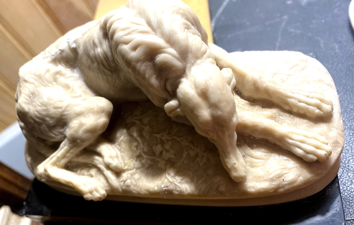  Délicat Lévrier couché de Delabrièrre en albâtre sur socle marbre noir de Carrare bordé bronze-photo-7