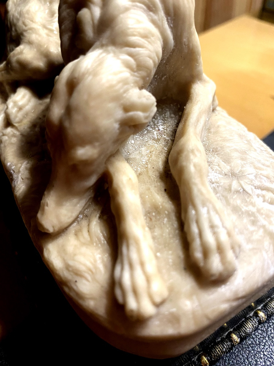  Délicat Lévrier couché de Delabrièrre en albâtre sur socle marbre noir de Carrare bordé bronze-photo-8