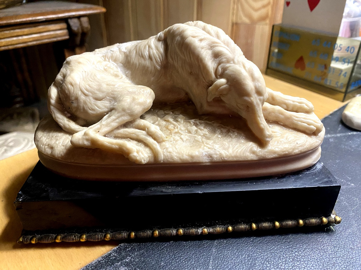  Délicat Lévrier couché de Delabrièrre en albâtre sur socle marbre noir de Carrare bordé bronze