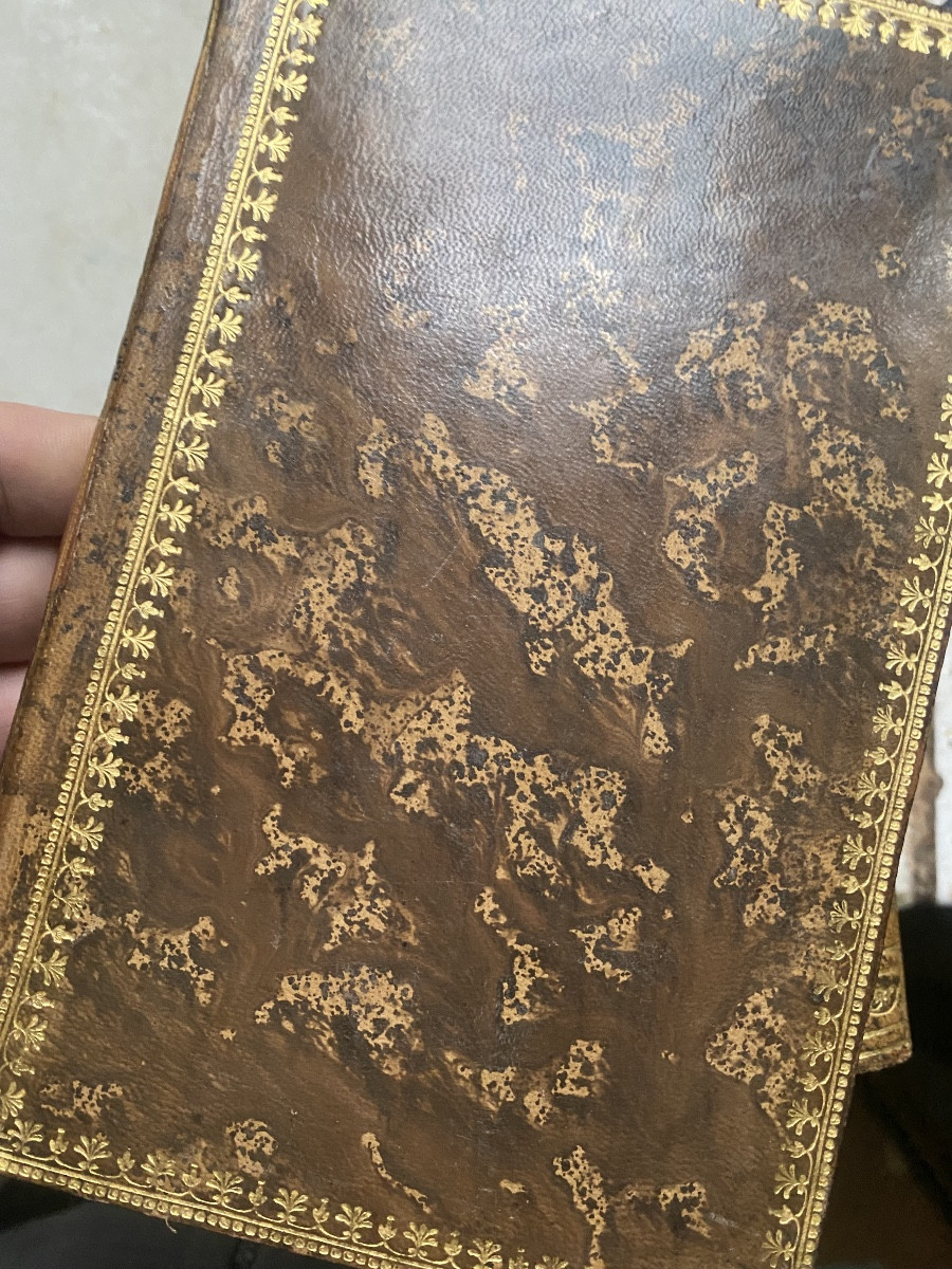 Travels In Hindustan, Ceylon, On The Red Sea Coast, In Abyssinia And In Egypt-photo-4