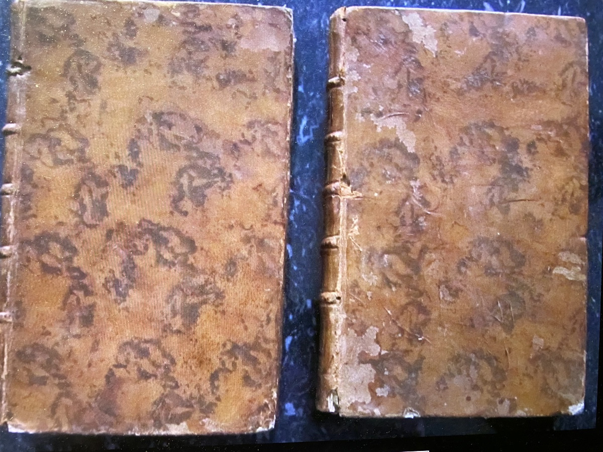 2 Volumes In8 ,"l'Electricité du corps humain" par l'Abbé Bertholon , a Paris 1786 , 6planches-photo-3