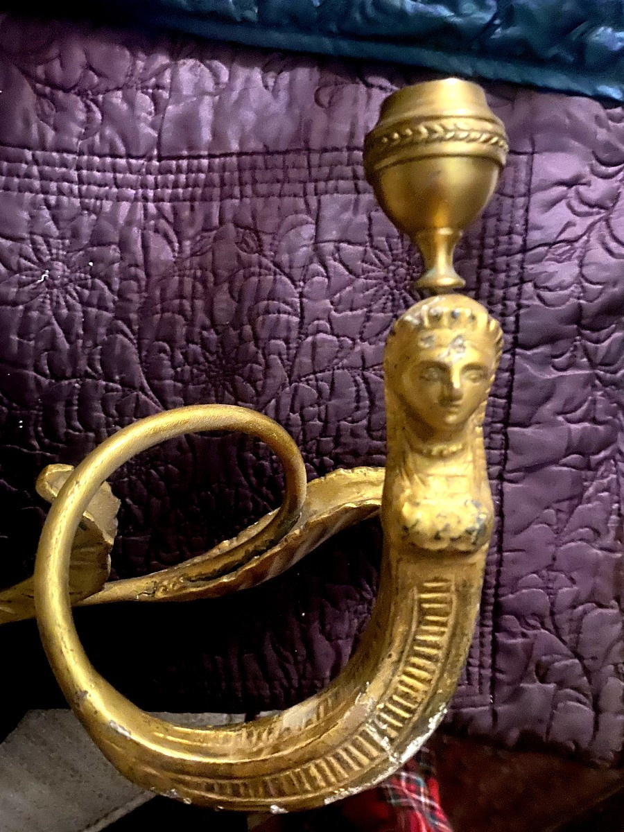  Fine Paire d'Appliques aériennes en bronze et bois doré " Retour d'Egypte"  d'Epoque XIX ème .-photo-2