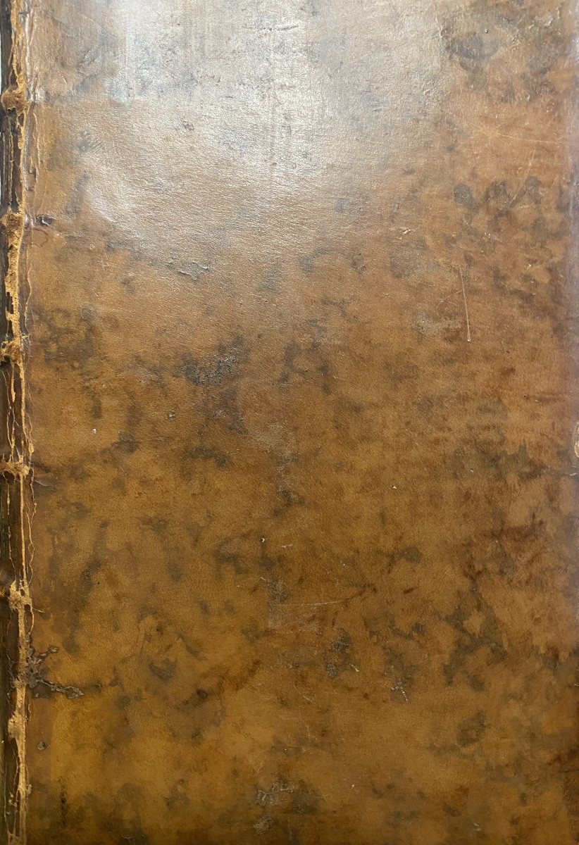 History Of James Ii, King Of Great Britain. 1 Vol. In 12. Brussels 1740, Bel Expl.-photo-4