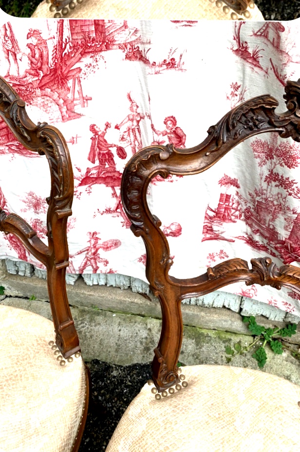 Paire de chaises en noyer richement sculptée de style" Roccoco" fin XIXème recouverte  S lézard-photo-5