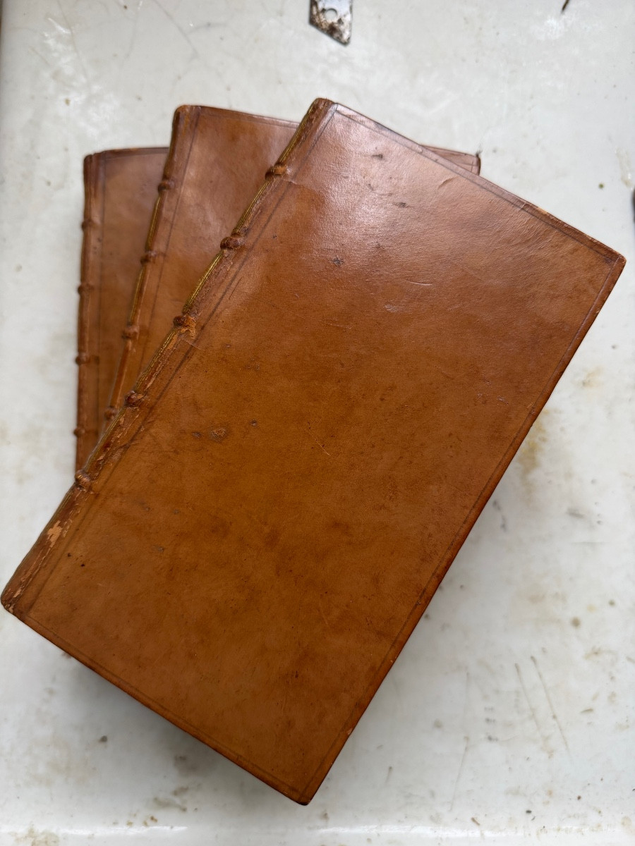 Mint Condition, Printed In The Hague In 1757: "a Tale Of A Tub" By The Famous Dr. Swift, Blond Calfskin-photo-2