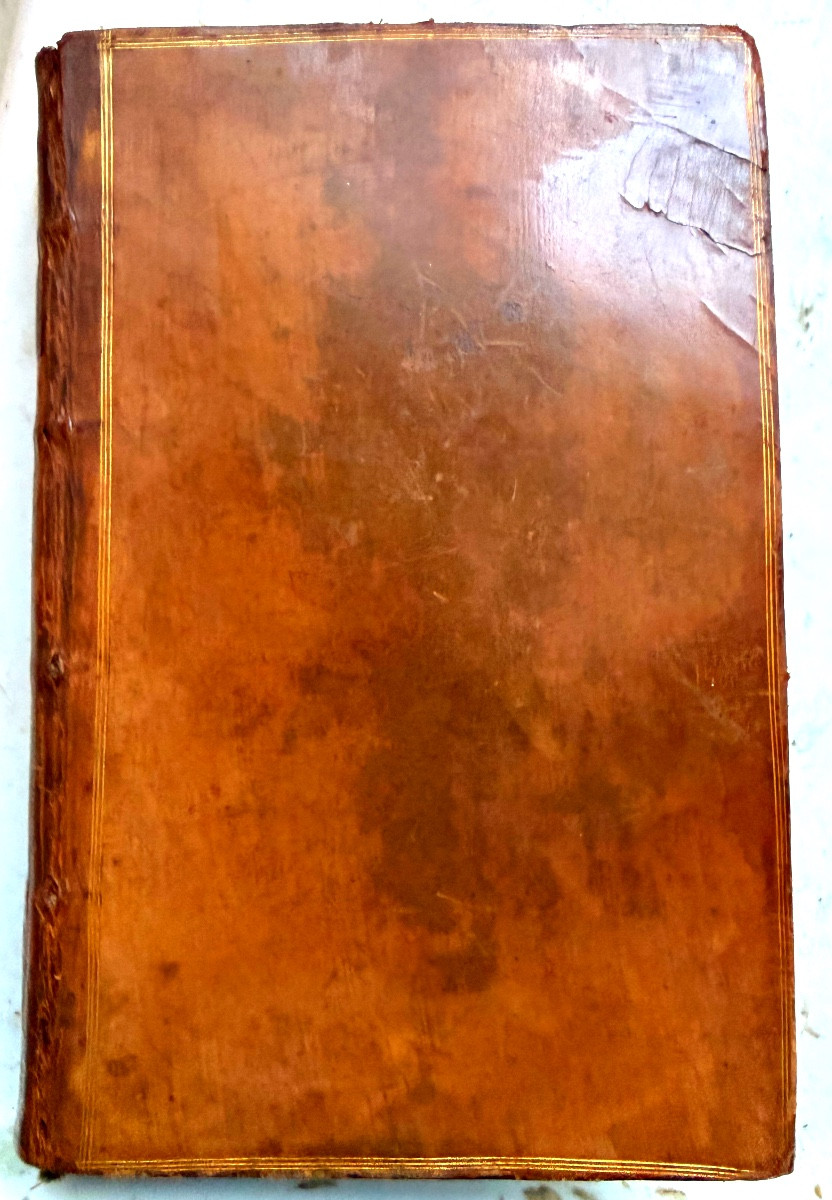 Vol.In8 , deux tomes de 1727 , veau blond  "Oeuvres Diverses de Mr Roy" , Elogues Odes Discours-photo-2