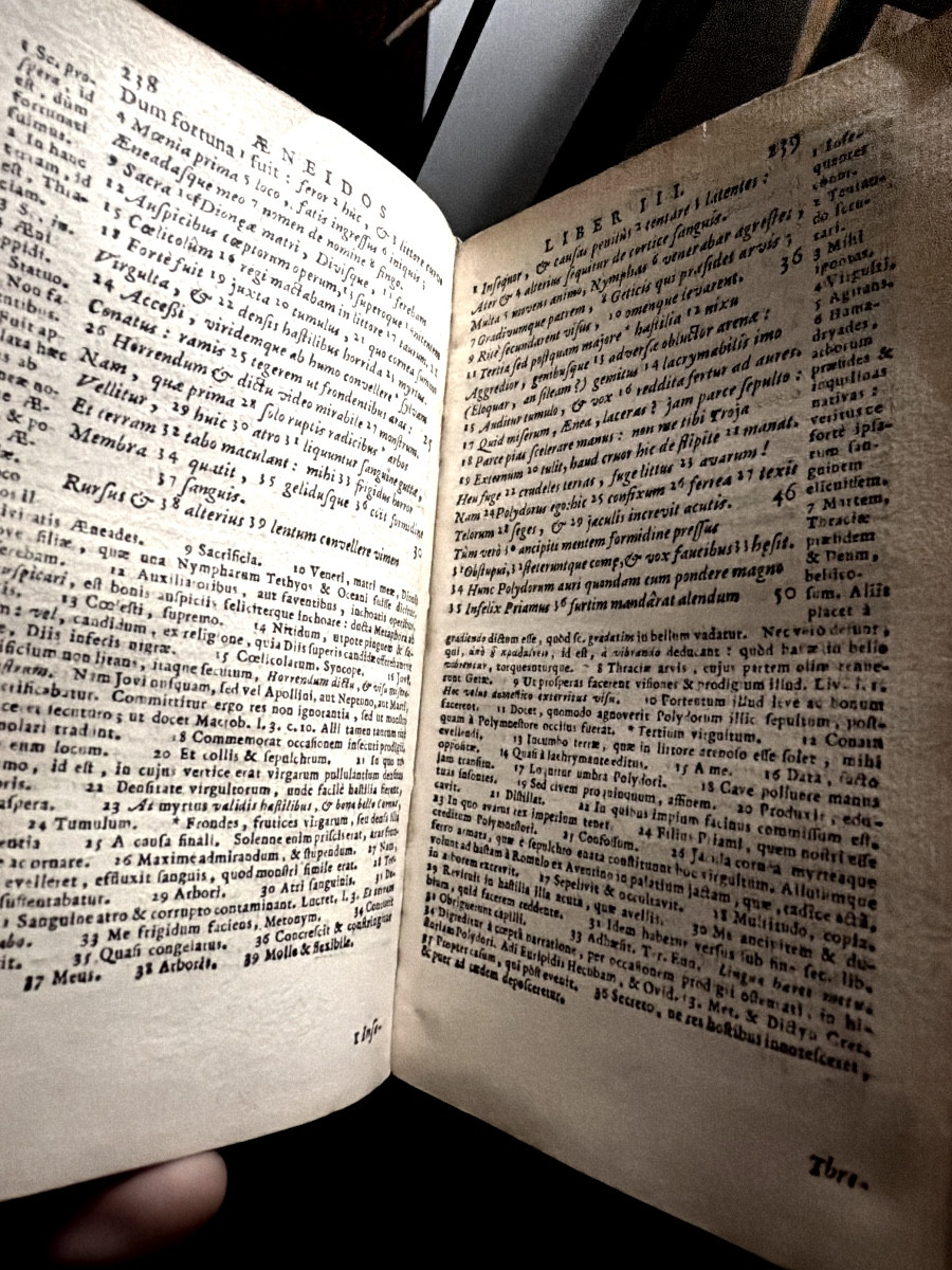 Pub. Virgilii Maronis Opera Ad. Editionem P. Maascicii Castigata; Cum Annot. J. Min-ellii.1719-photo-7