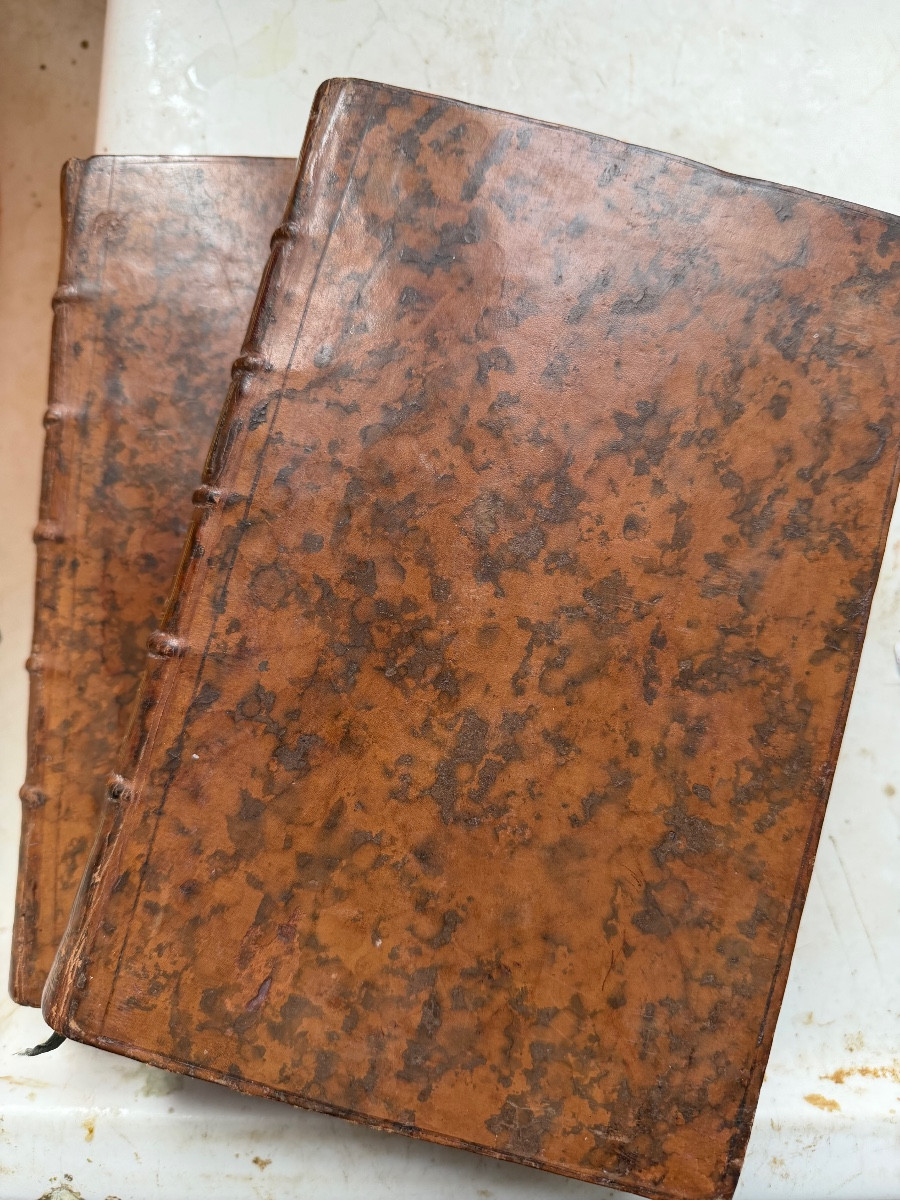 2 Volumes In Octavo, 1749: "anti-lucretius", A Poem On Natural Religion, By Cardinal De Polignac-photo-2