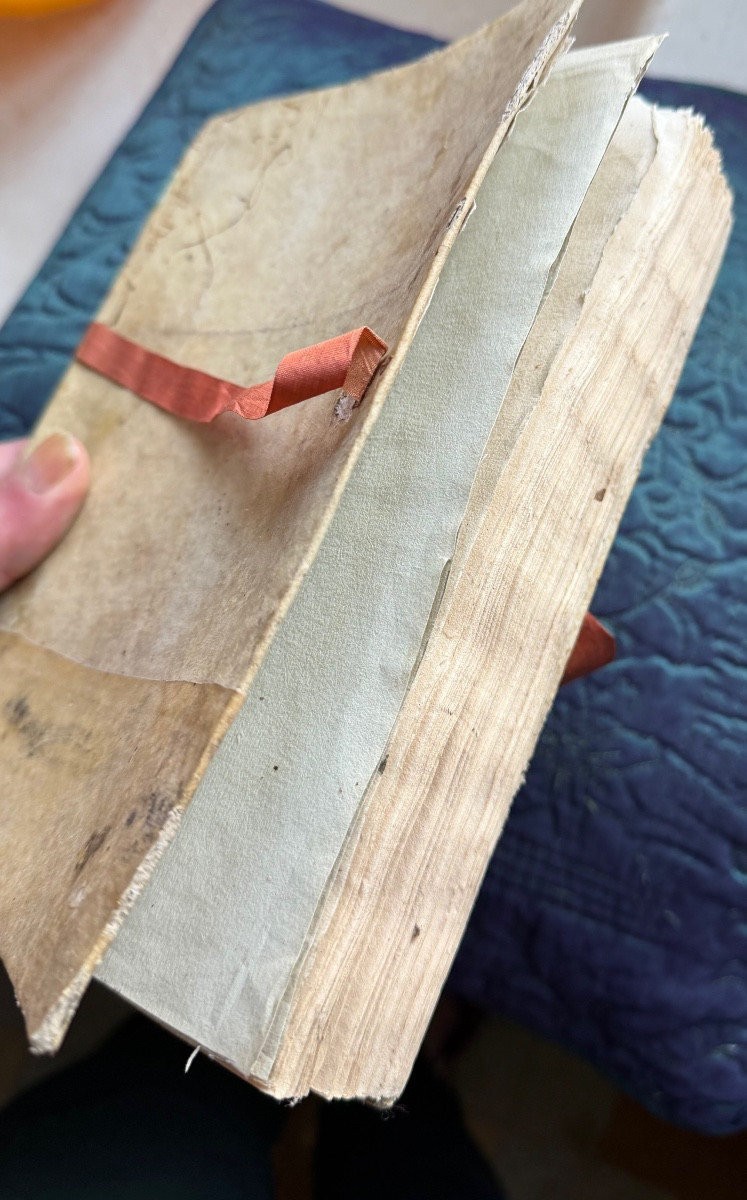  Exquisite Vellum Portfolio From 1774 "herbier De l'Aude", Silk Signature Of The Curé De Coursan 1774-photo-8