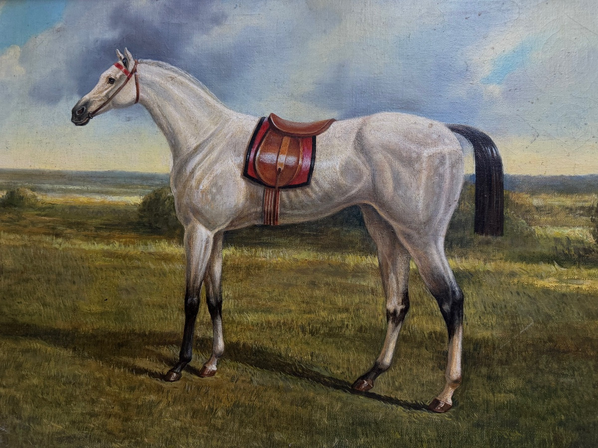 "racehorse", Pearl Gray Large Portrait, Signed A. Kinson, From The 1950s, In Its Frame -photo-6