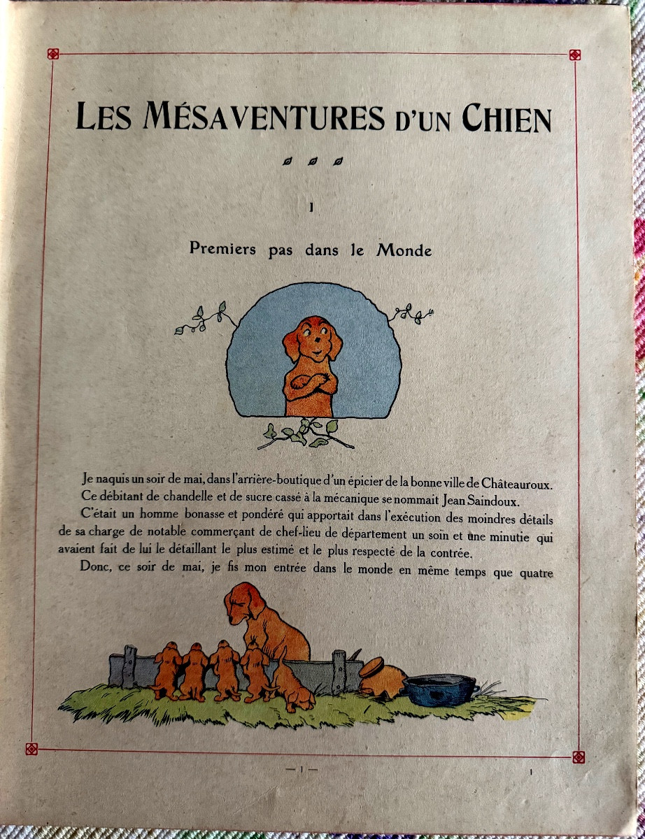 Edition Originale" Les Mésaventures d'un Chien" par Benjamin Rabier , Ed. Jules Tallandier 1907-photo-1