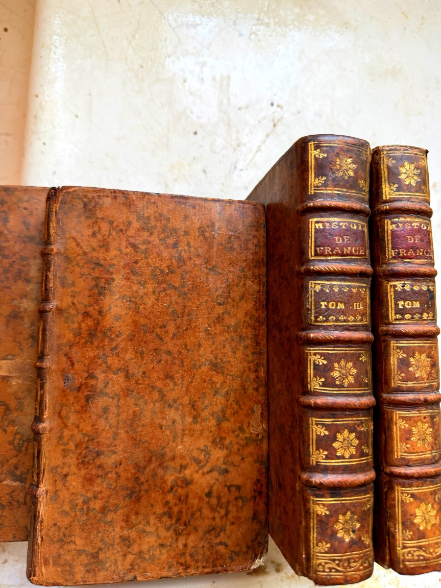  History Of France Under The Reigns Of Saint Louis, Philibert Of Valois, King John, Charles V, Etc.-photo-2