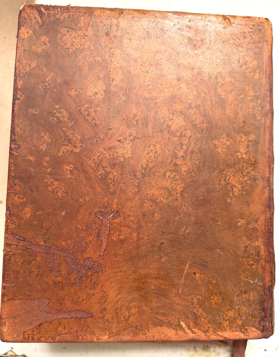 Fort vol. In 4 en 2 tomes:" Physique des Arbres"  de Duhamel du Monceau , enrichi de figures 18-photo-2