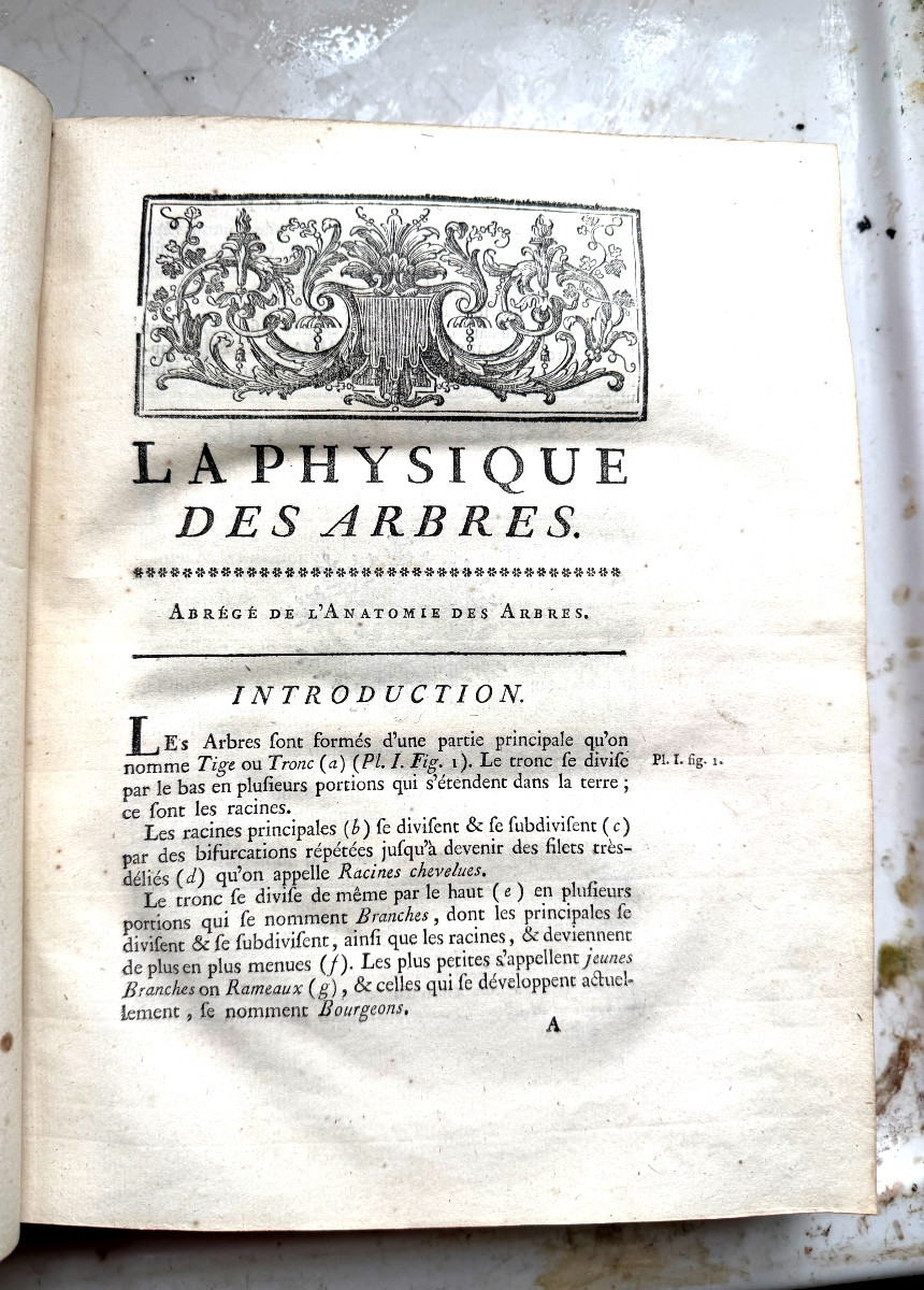 Fort vol. In 4 en 2 tomes:" Physique des Arbres"  de Duhamel du Monceau , enrichi de figures 18-photo-4