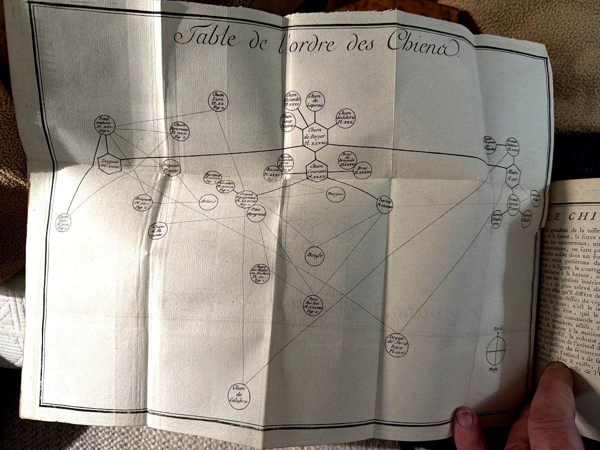 Oeuvres de Buffon tirée de l'histoire naturelle "Etude des Mammifères" 13 Vol," aux Armes" 1769-photo-4
