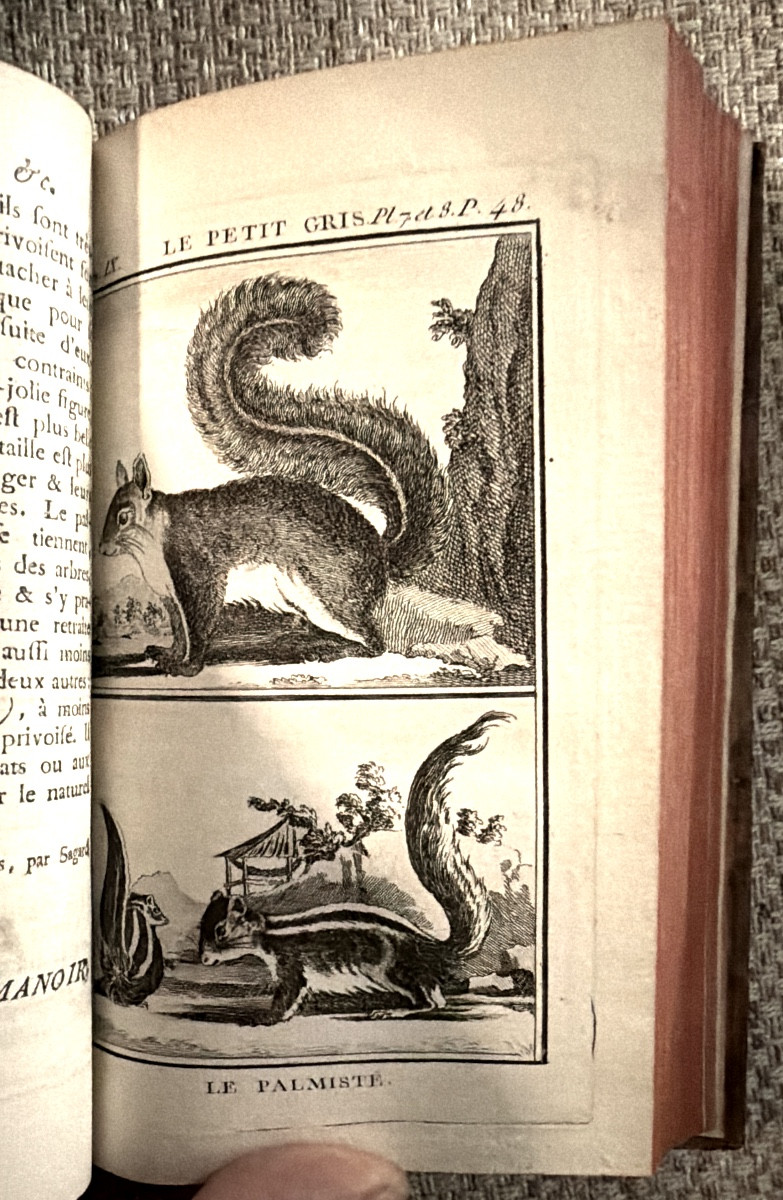Oeuvres de Buffon tirée de l'histoire naturelle "Etude des Mammifères" 13 Vol," aux Armes" 1769-photo-6