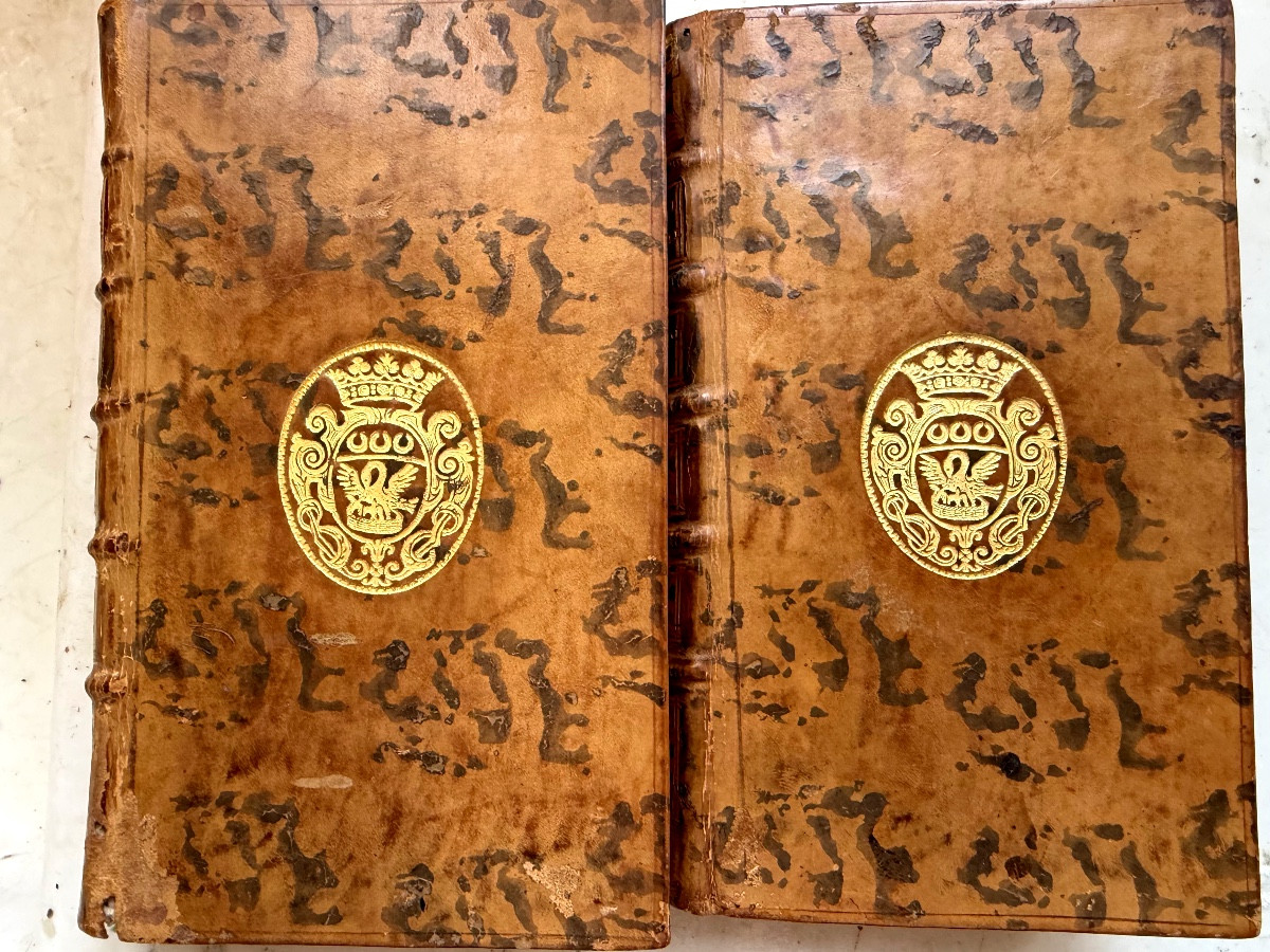 Bindings With The Arms Of The Marquis De Verneuil On The Spine And Covers, From 1776, Following The Theory Of The Earth-photo-4
