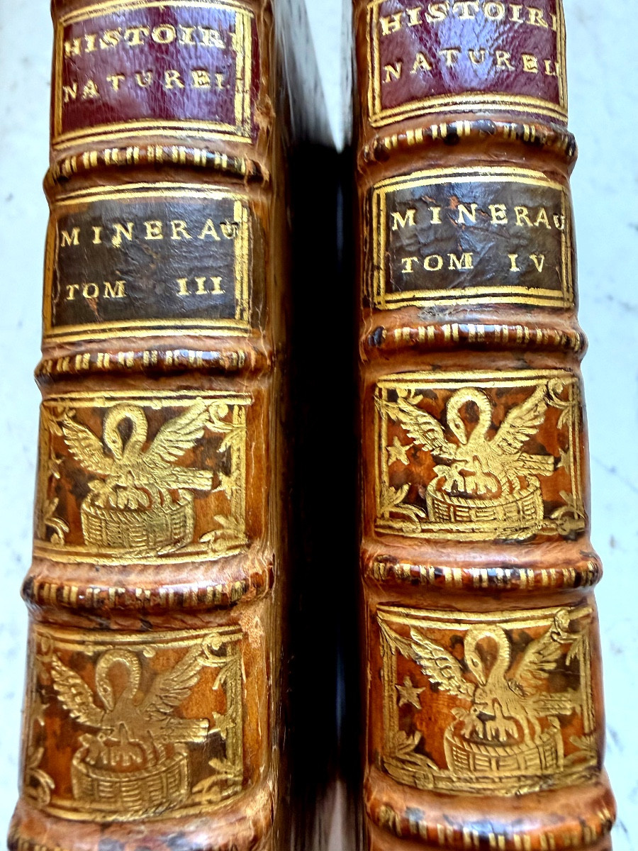 Bindings With The Arms Of The Marquis De Verneuil On The Spine And Covers, From 1776, Following The Theory Of The Earth-photo-1
