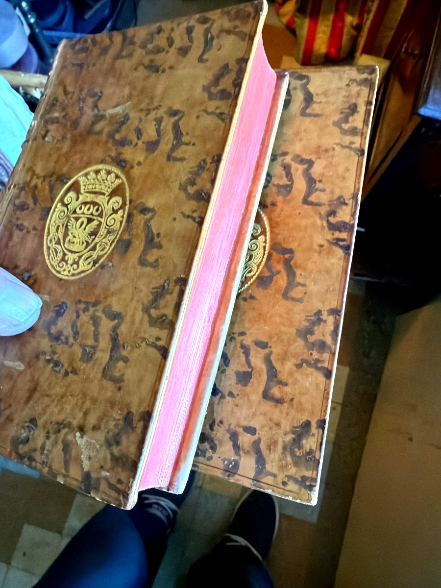 Bindings With The Arms Of The Marquis De Verneuil On The Spine And Covers, From 1776, Following The Theory Of The Earth-photo-8