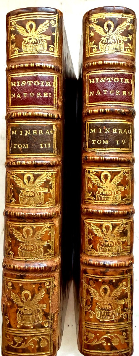 Bindings With The Arms Of The Marquis De Verneuil On The Spine And Covers, From 1776, Following The Theory Of The Earth