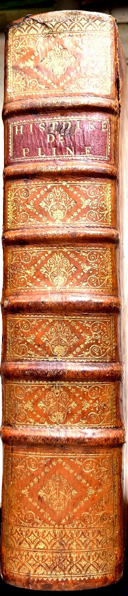 "Histoire du Monde de C. Pline Second" , Vol In Folio en veau blond glacé rare édition de 1615.