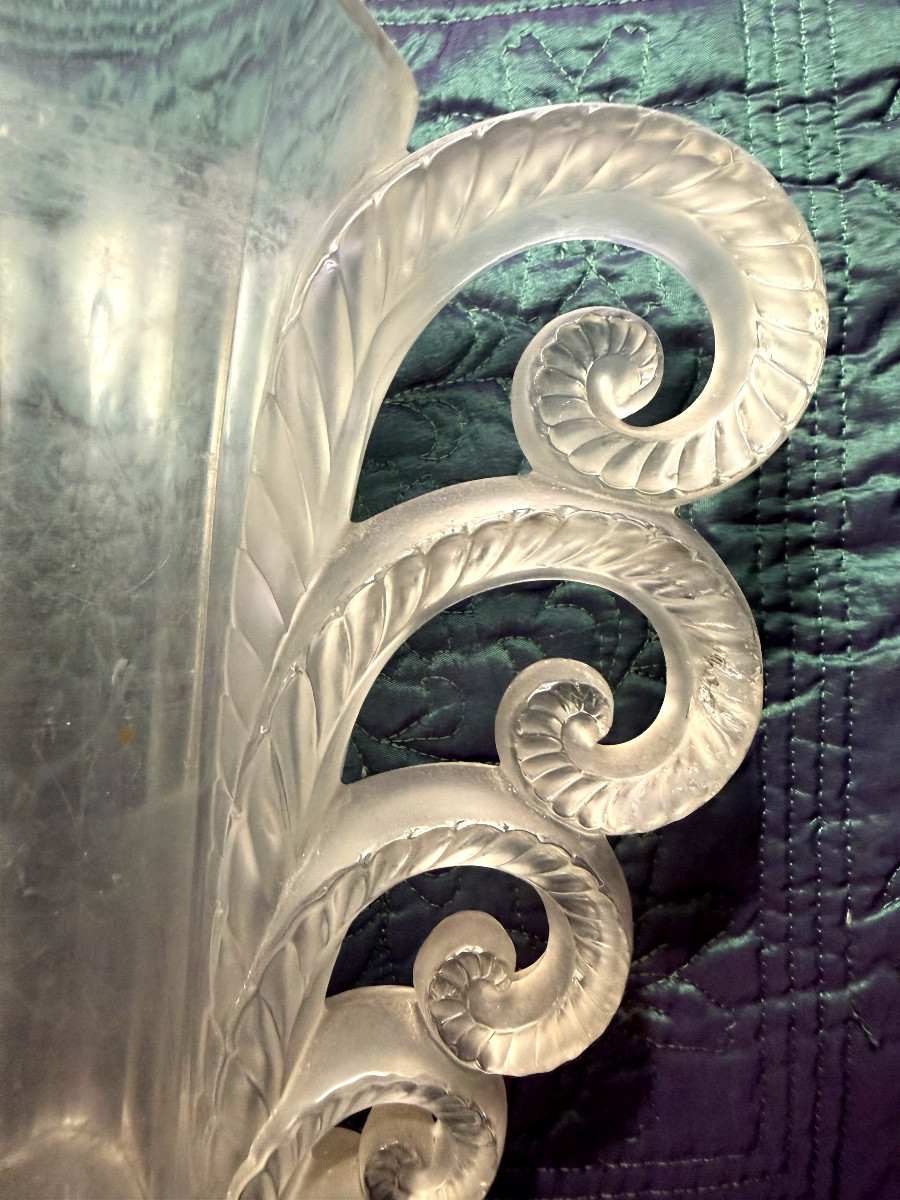 Beautiful And Famous Volute Vase: -photo-2