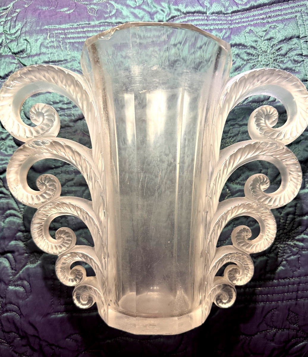 Beautiful And Famous Volute Vase: -photo-4